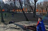 gates_vr